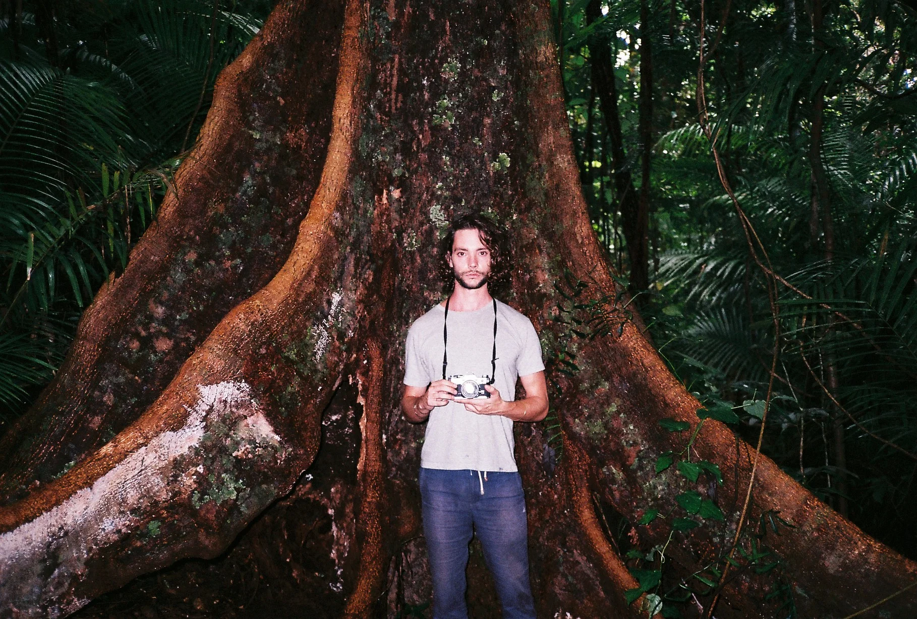 Daintree Rainforest, 2018