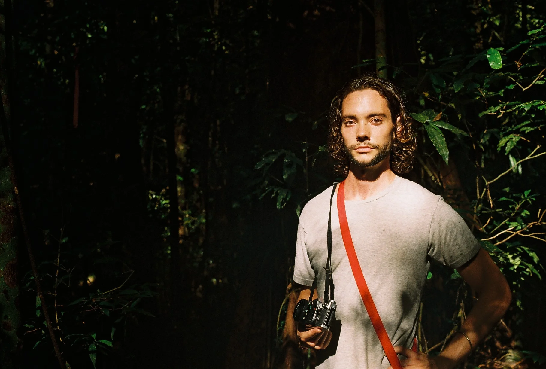 “what a day for a dream…”