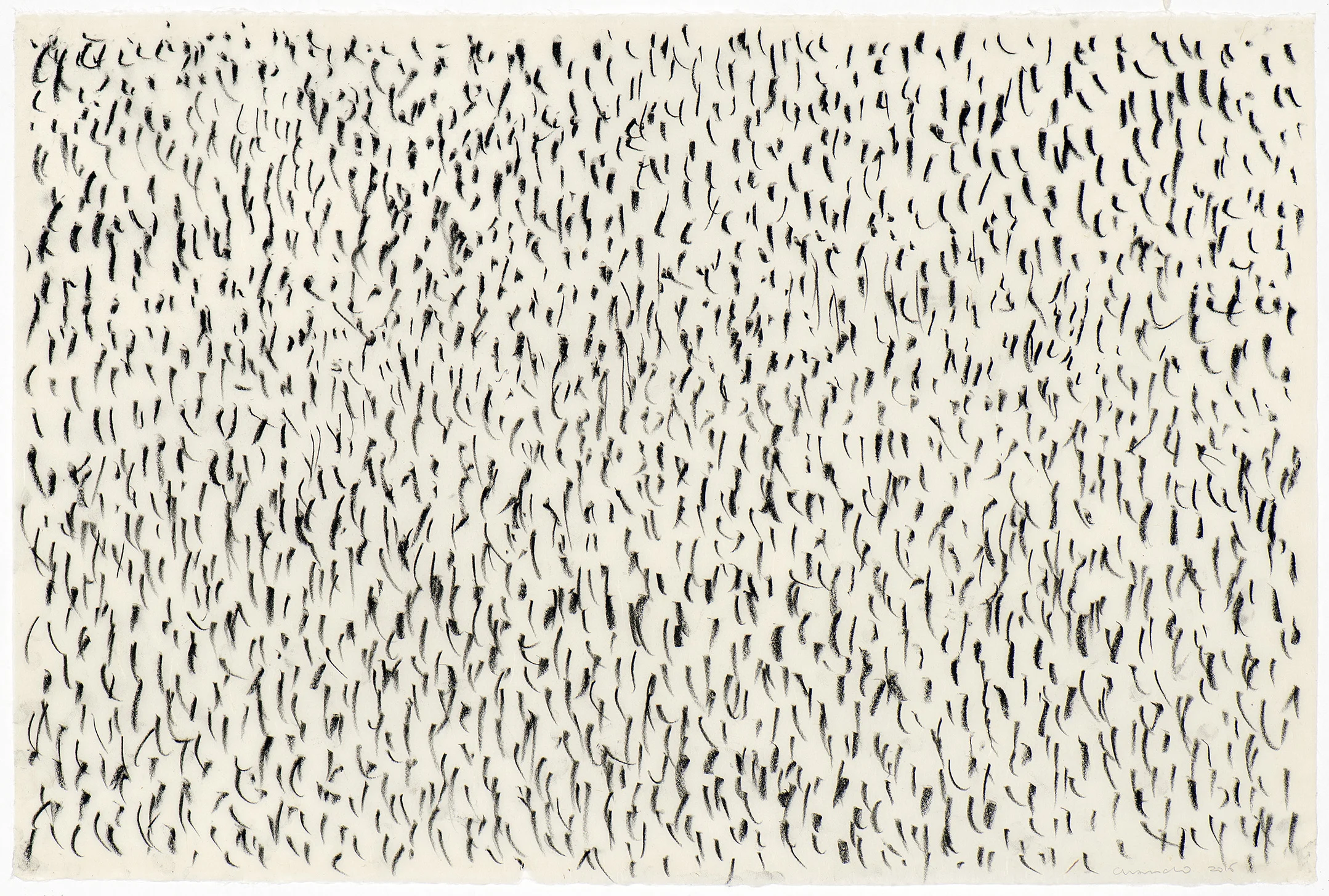 drawing 01. 2016. 60,5x91 cm. conté on japanese paper.jpg