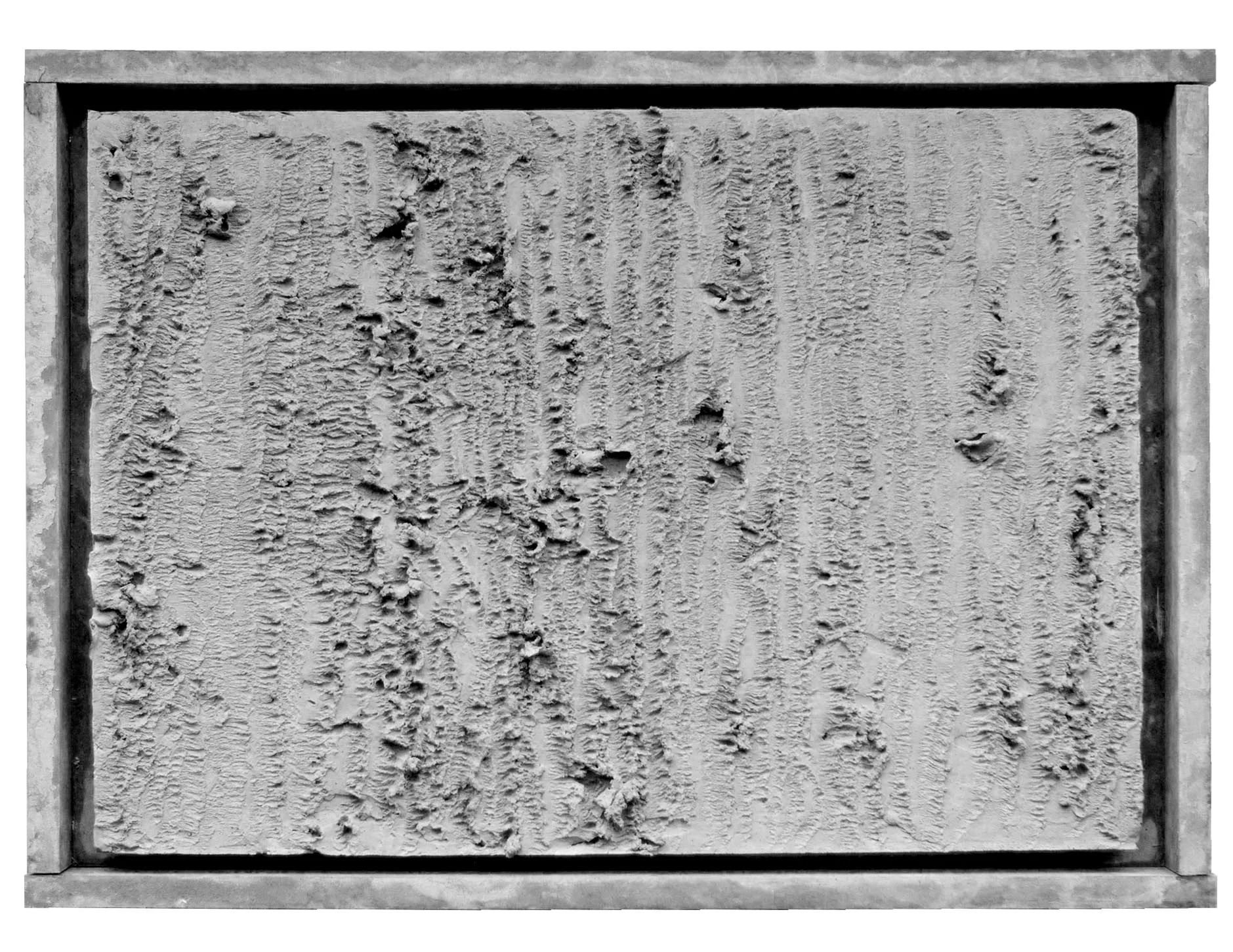 IMG_4278 cutout BW.jpg