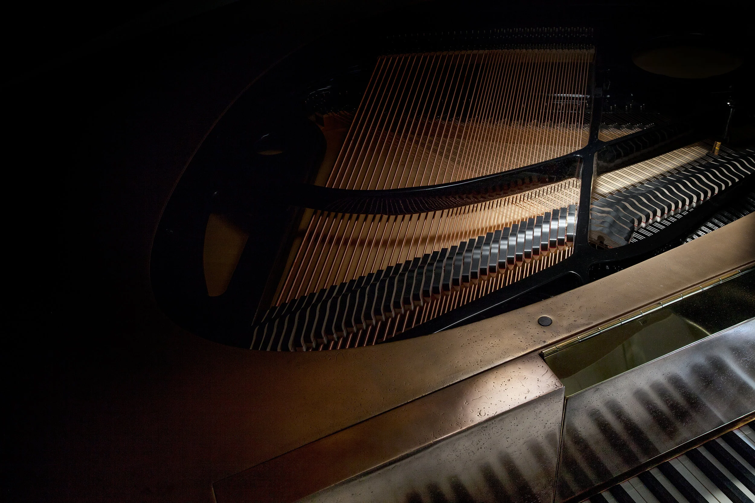 bu_00912_twist string_piano_E.jpg