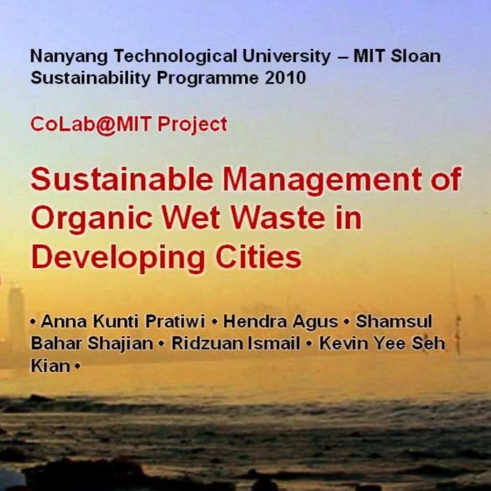 Sustainable Management of Organic Wet Waste in Developing Cities