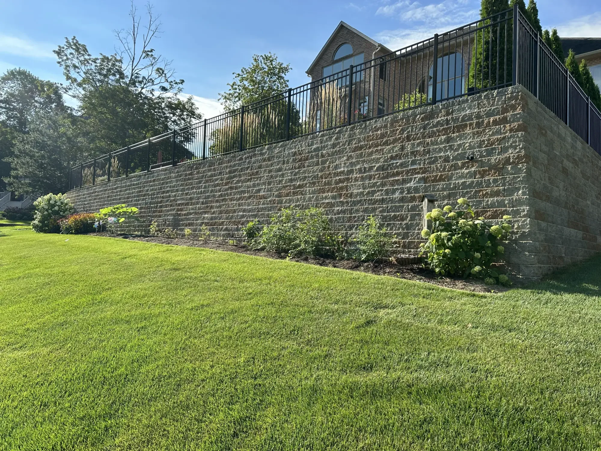 A backyard with a grassy lawn, a stone retaining wall, flowering bushes, and a house with large windows and a balcony with a black metal railing. Trees are visible in the background under a blue sky.