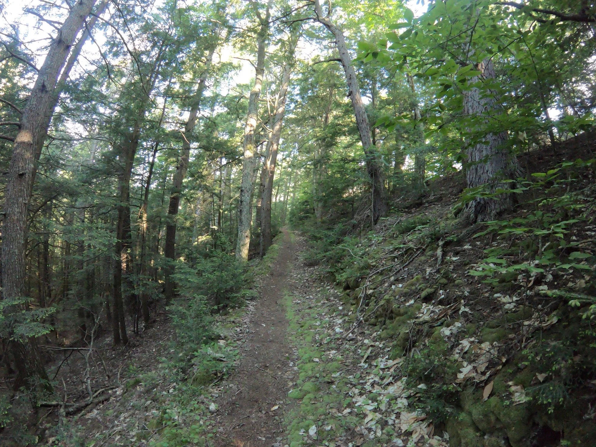 Uphill.jpg