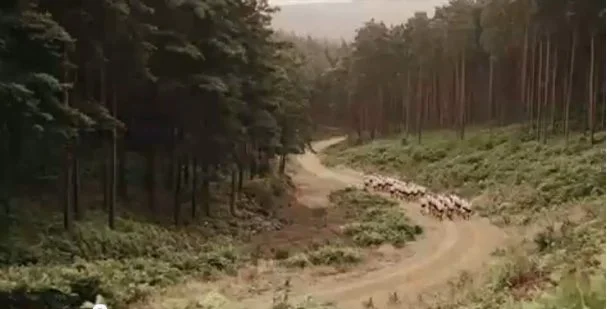 3 Miles Up, 3 Miles Down as depicted in the HBO Miniseries