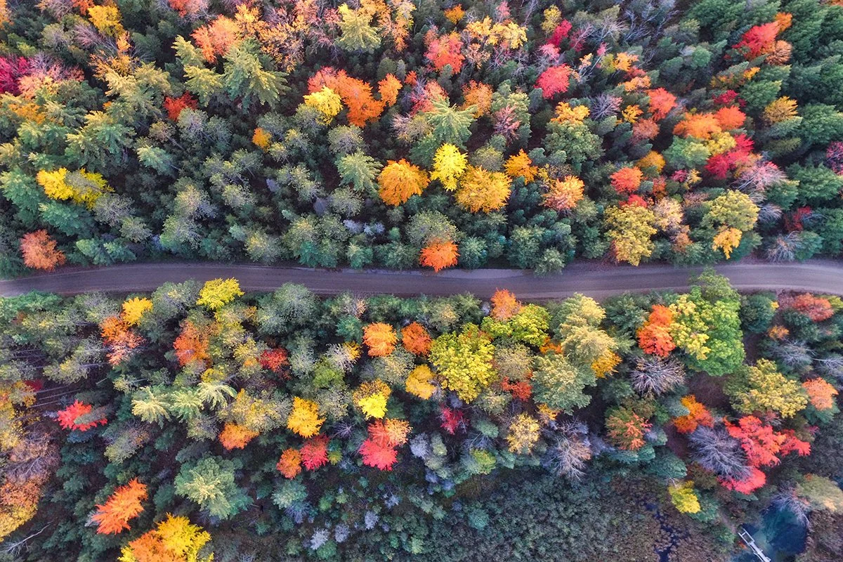 A Wealth of Opportunity