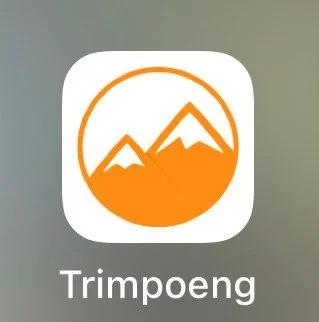 342682818_512840387717280_3320333890751435328_n.jpg