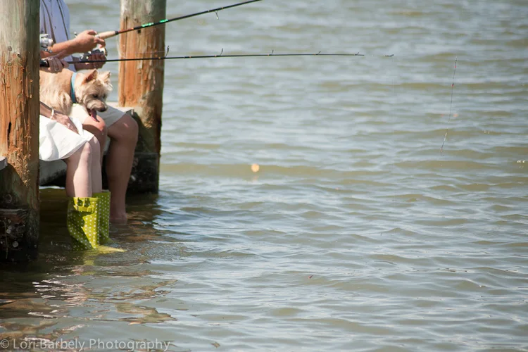 destination-trash-the-dress-06