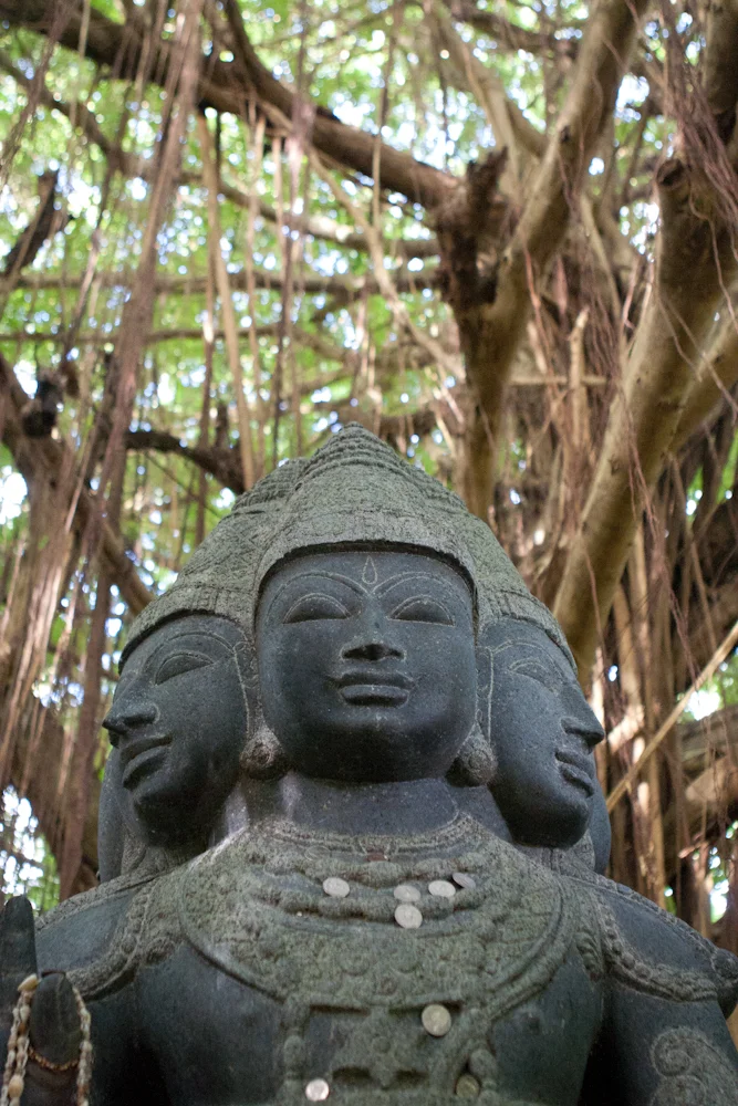 kauai-hawaii-travel-photography-04