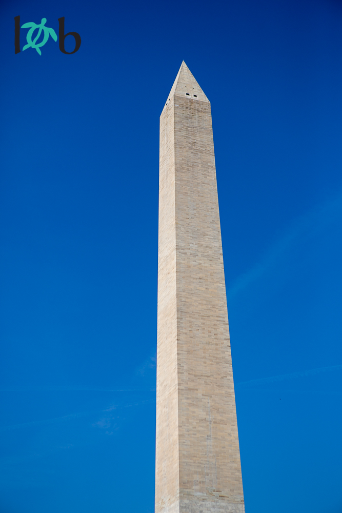 View of Washington Monument, Washington, DC