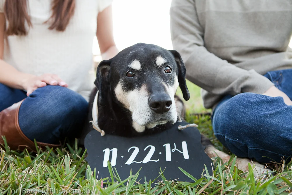 daytona_engagement_photographer_03.jpg