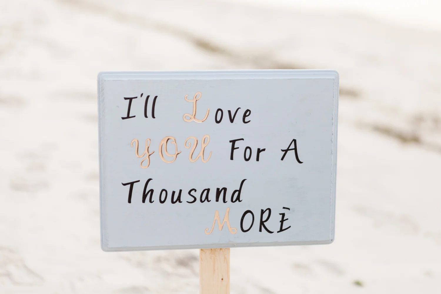 Orlando proposal photographer