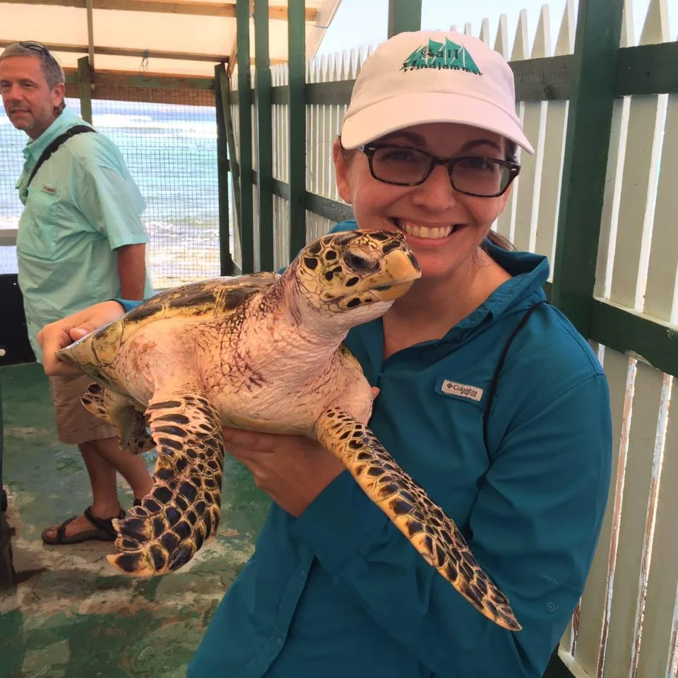 Learning about Sea Turtles at Bequia’s Old Hegg Turtle Sanctuary