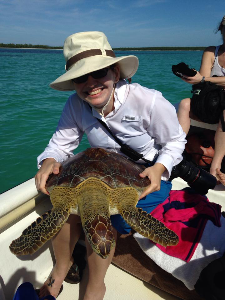 Measuring and tagging turtles in Eleuthera, Bahamas - notice the sea turtle tattoo, which is also my logo, on my foot