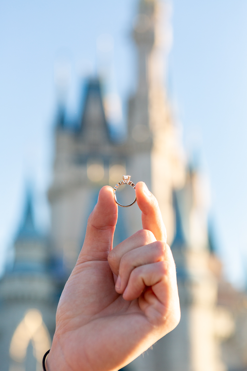  Magic Kingdom Proposal 