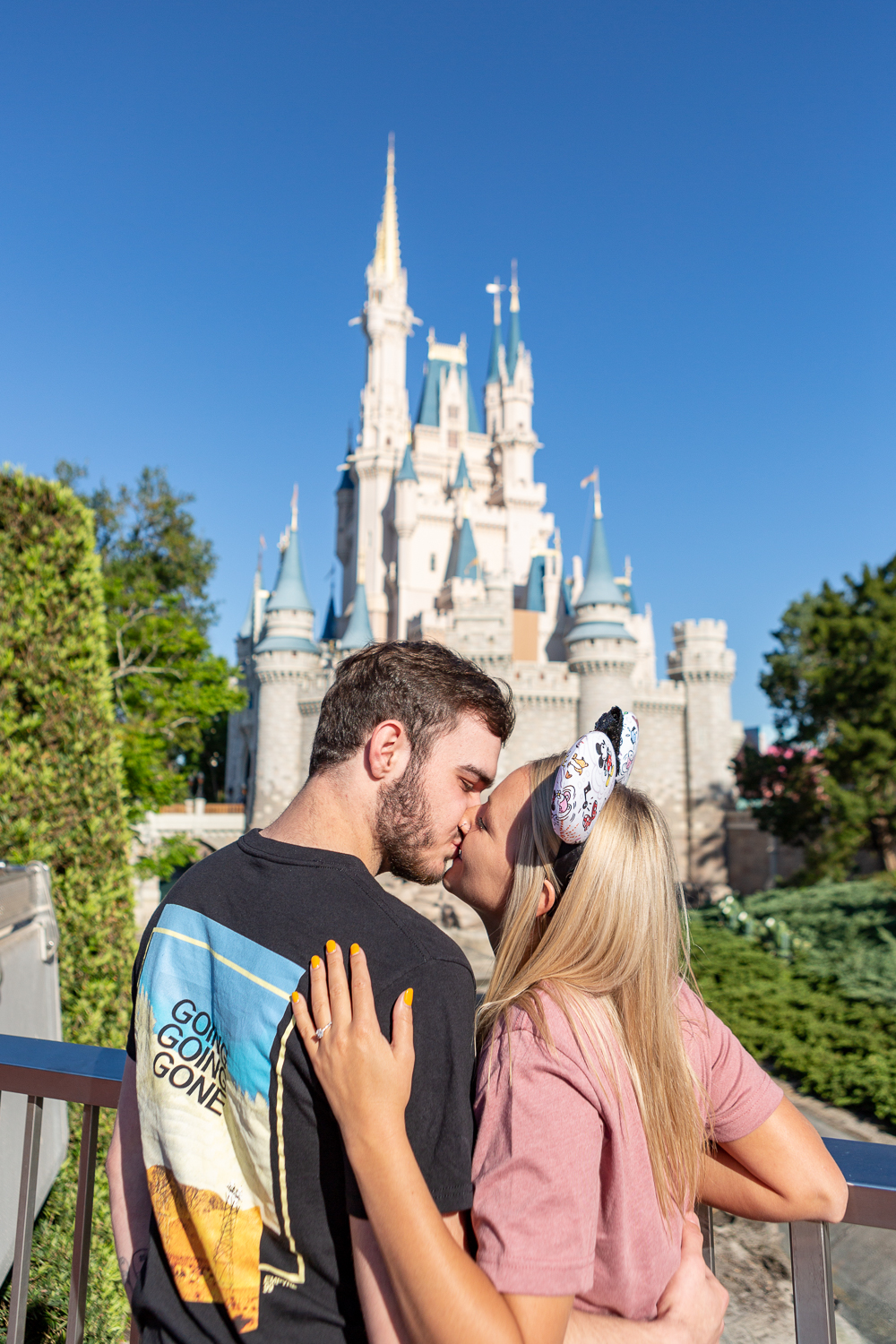  Magic Kingdom Proposal 