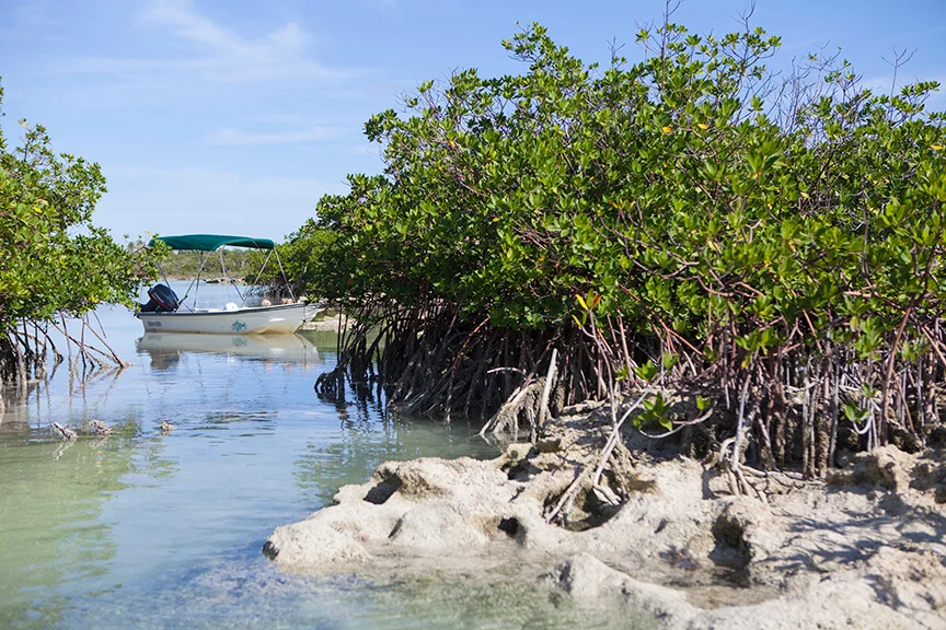 travel photos from Eleuthera, Bahamas
