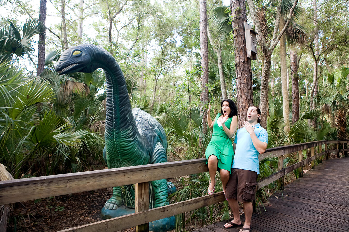  Engagement Photos in Orlando, FL 