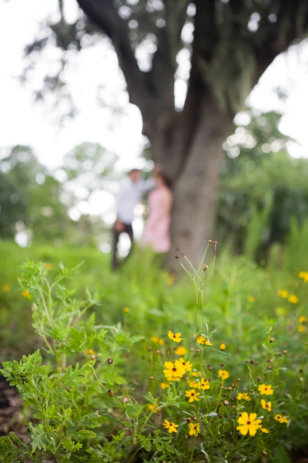  Florida engagement photographer 