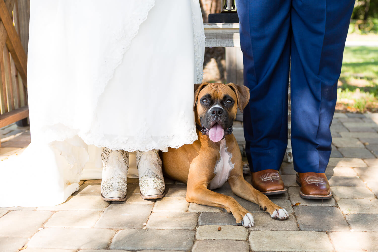  Ever After Farms Blueberry Barn wedding 