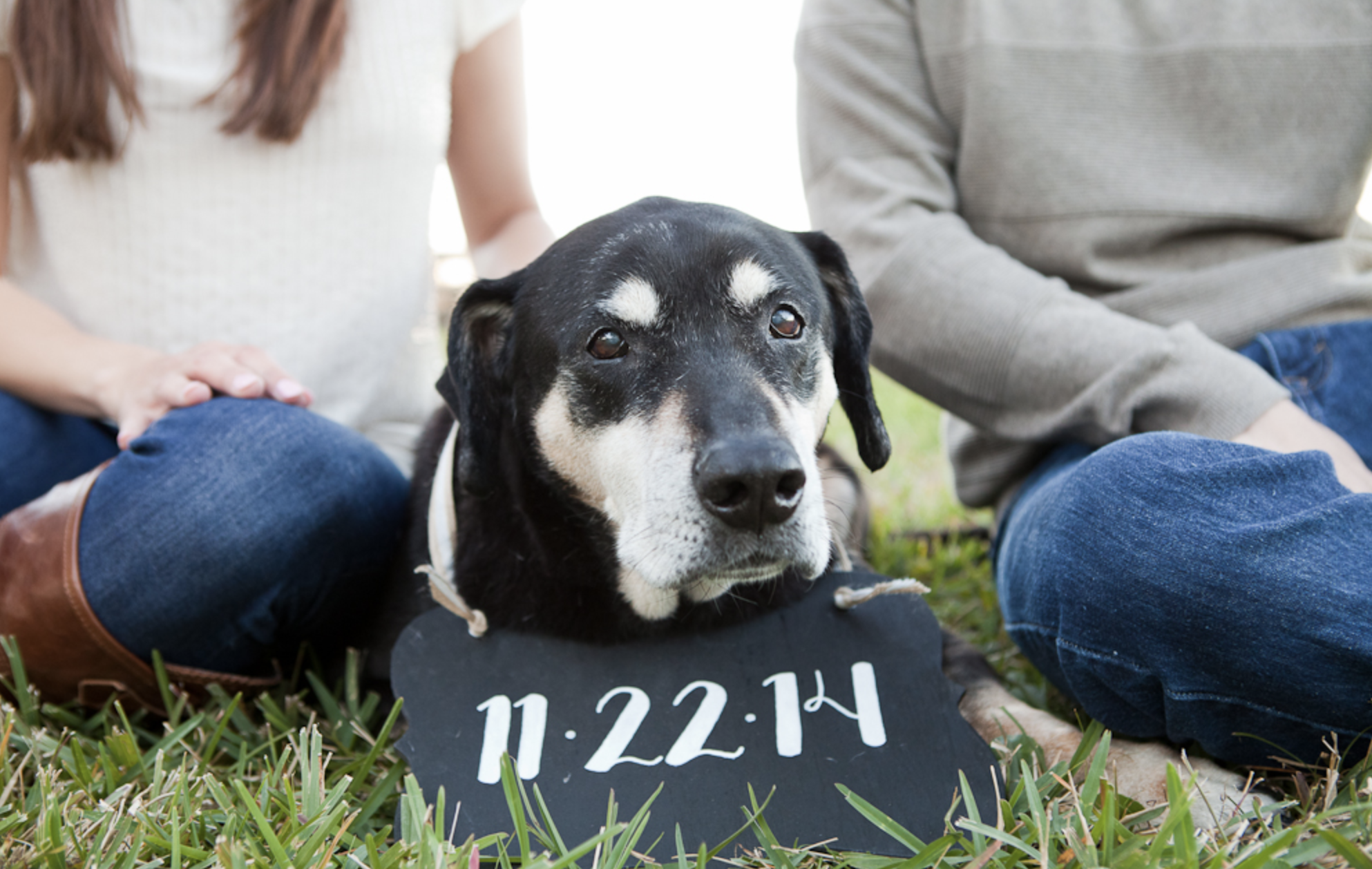 orlando-wedding-photographer-dog-engagement.png