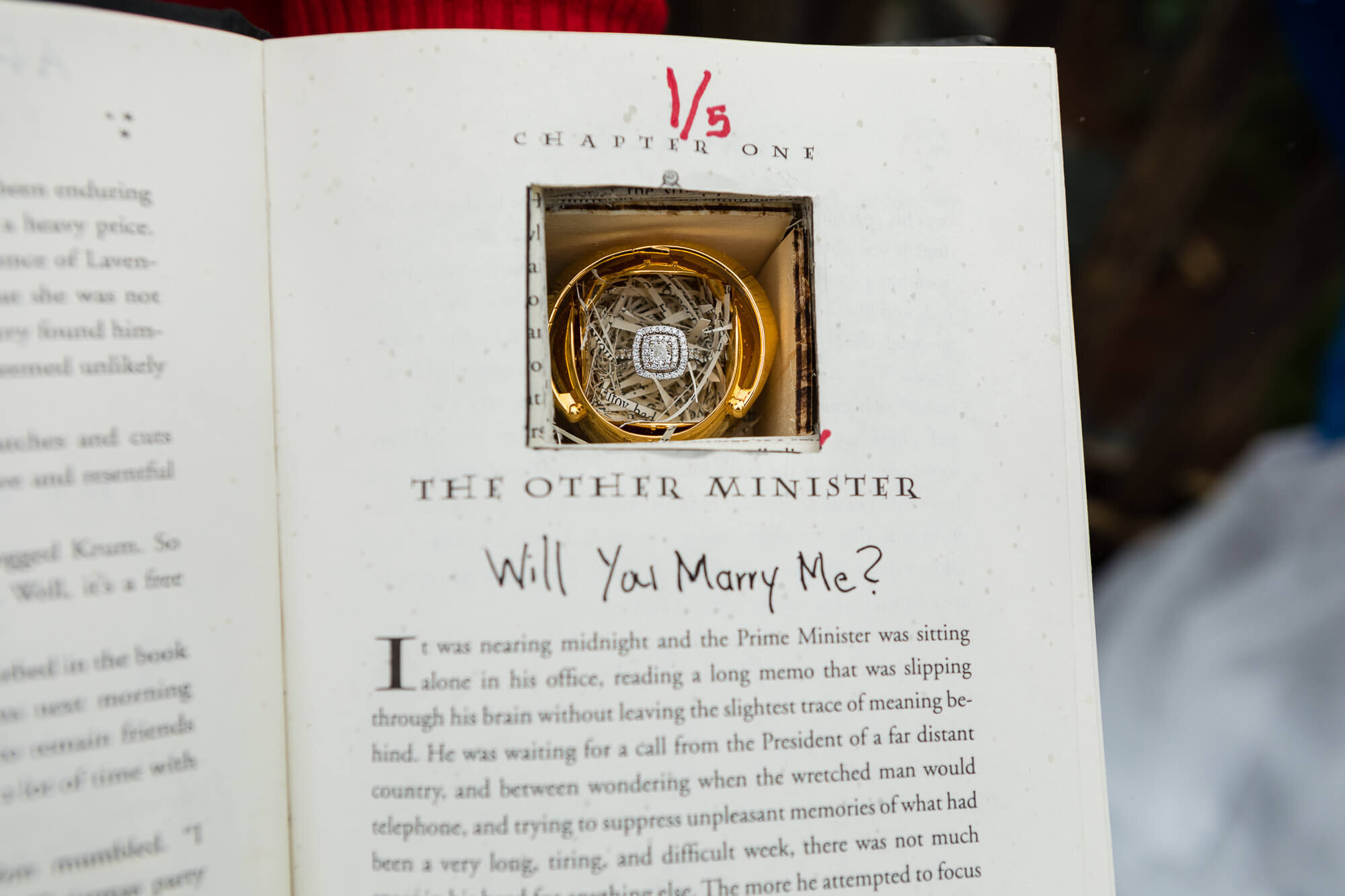  Harry Potter themed marriage Proposal at Universal Orlando, Florida 