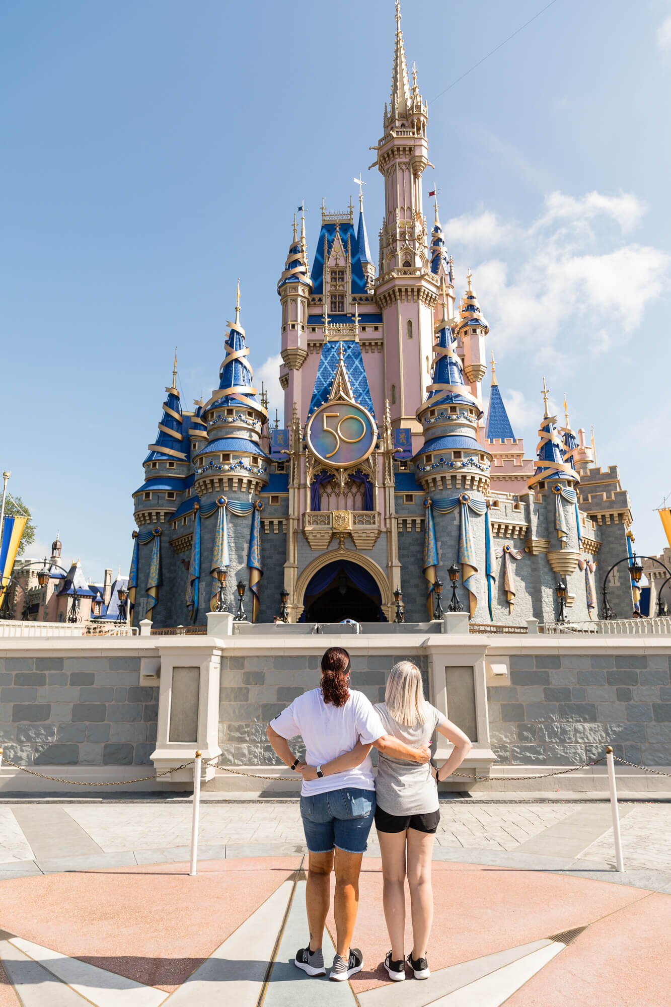 Cinderella Castle Proposal