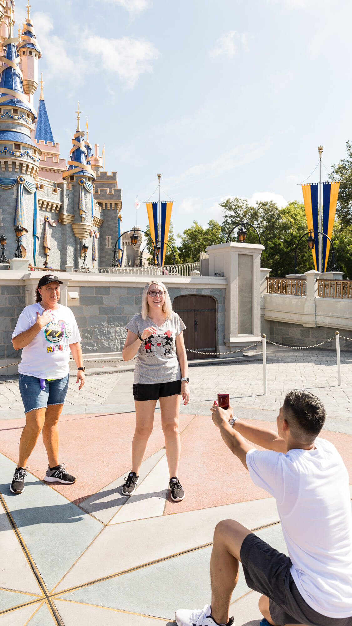 magic-kingdom-proposal-07.jpg