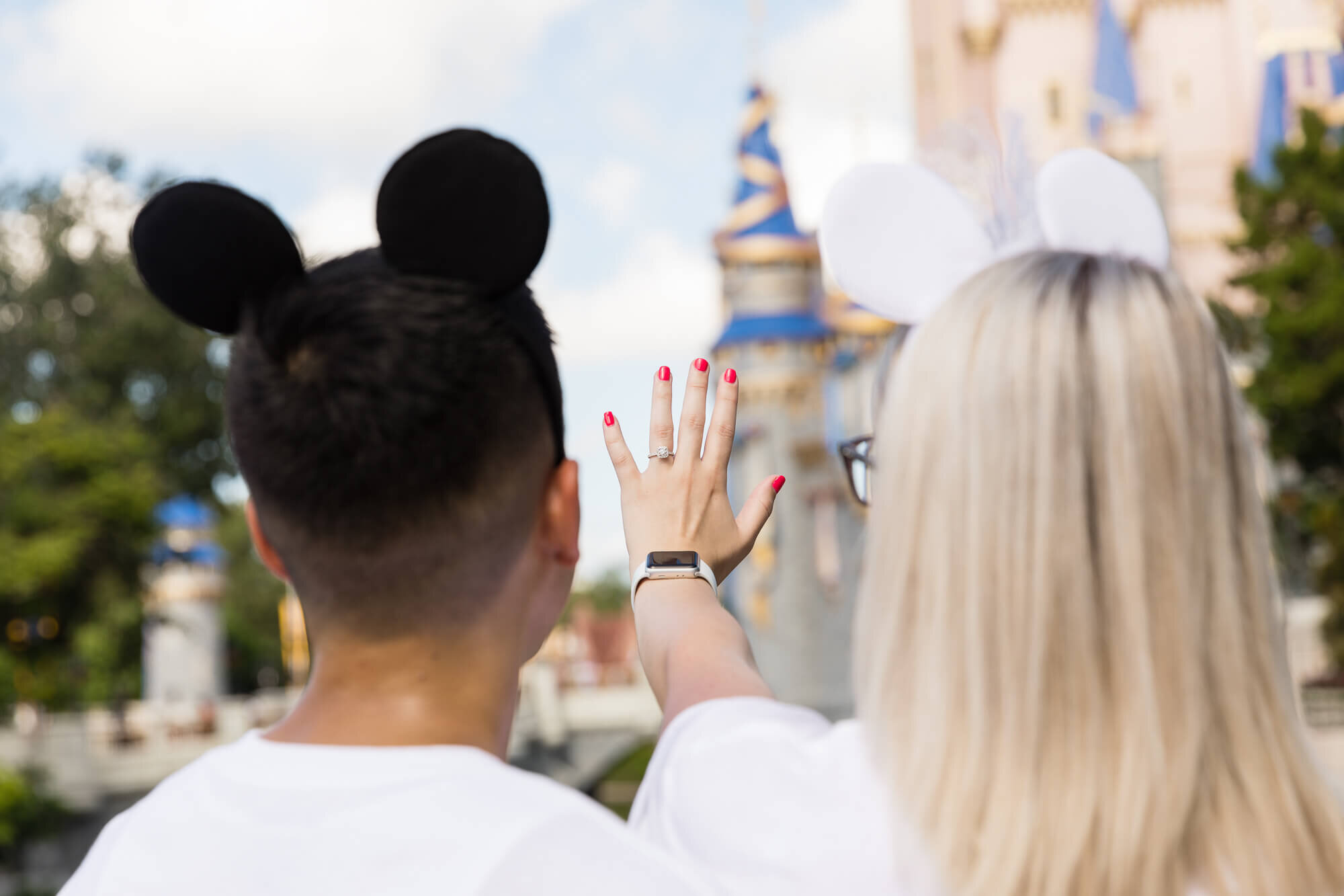 magic-kingdom-proposal-18.jpg