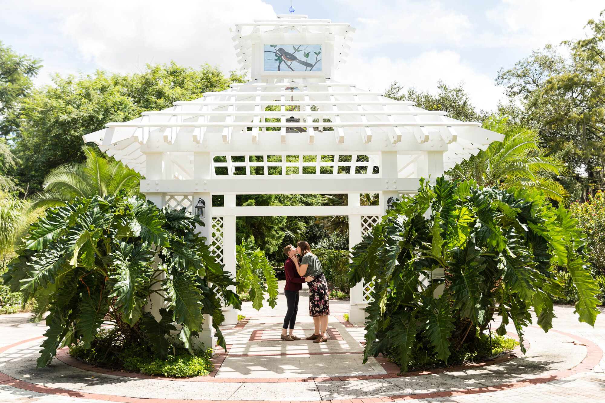 surprise marriage proposal at Leu Gardens, Orlando, Florida 