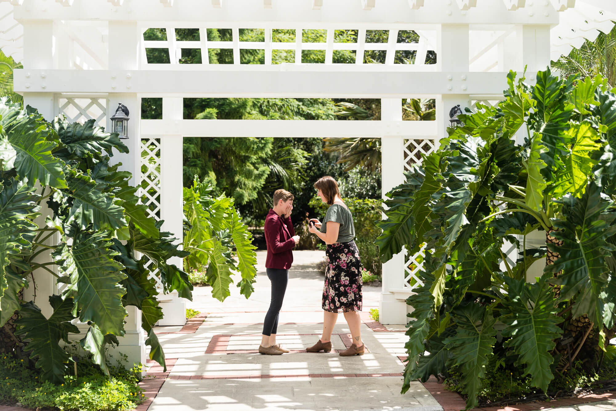  surprise marriage proposal at Leu Gardens, Orlando, Florida 