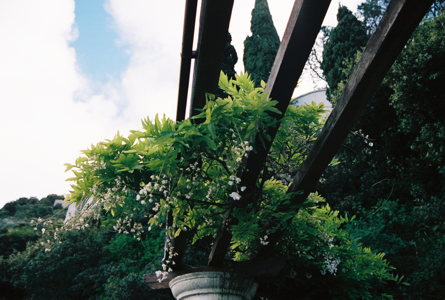 fh030007.jpg