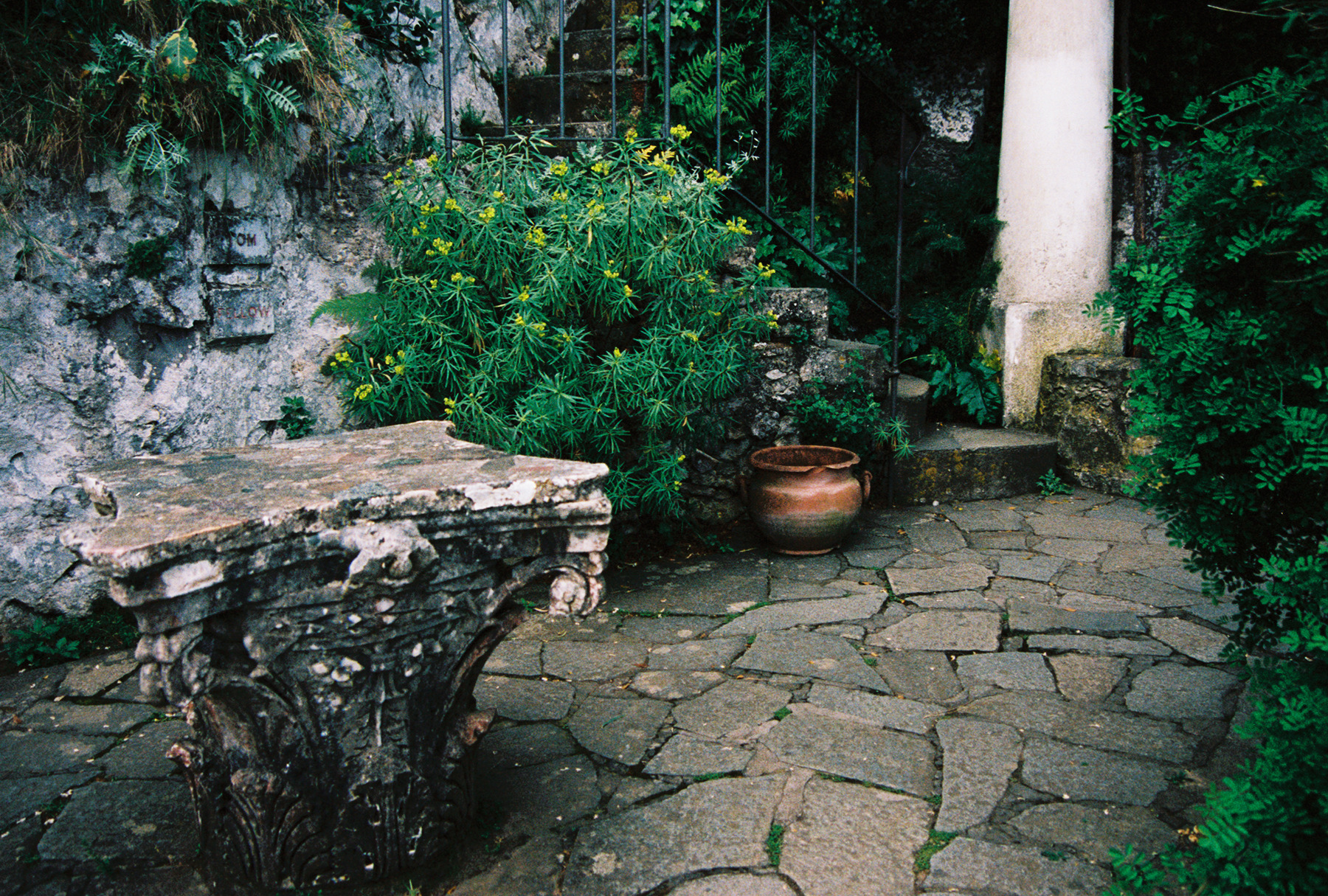 fh030003.jpg