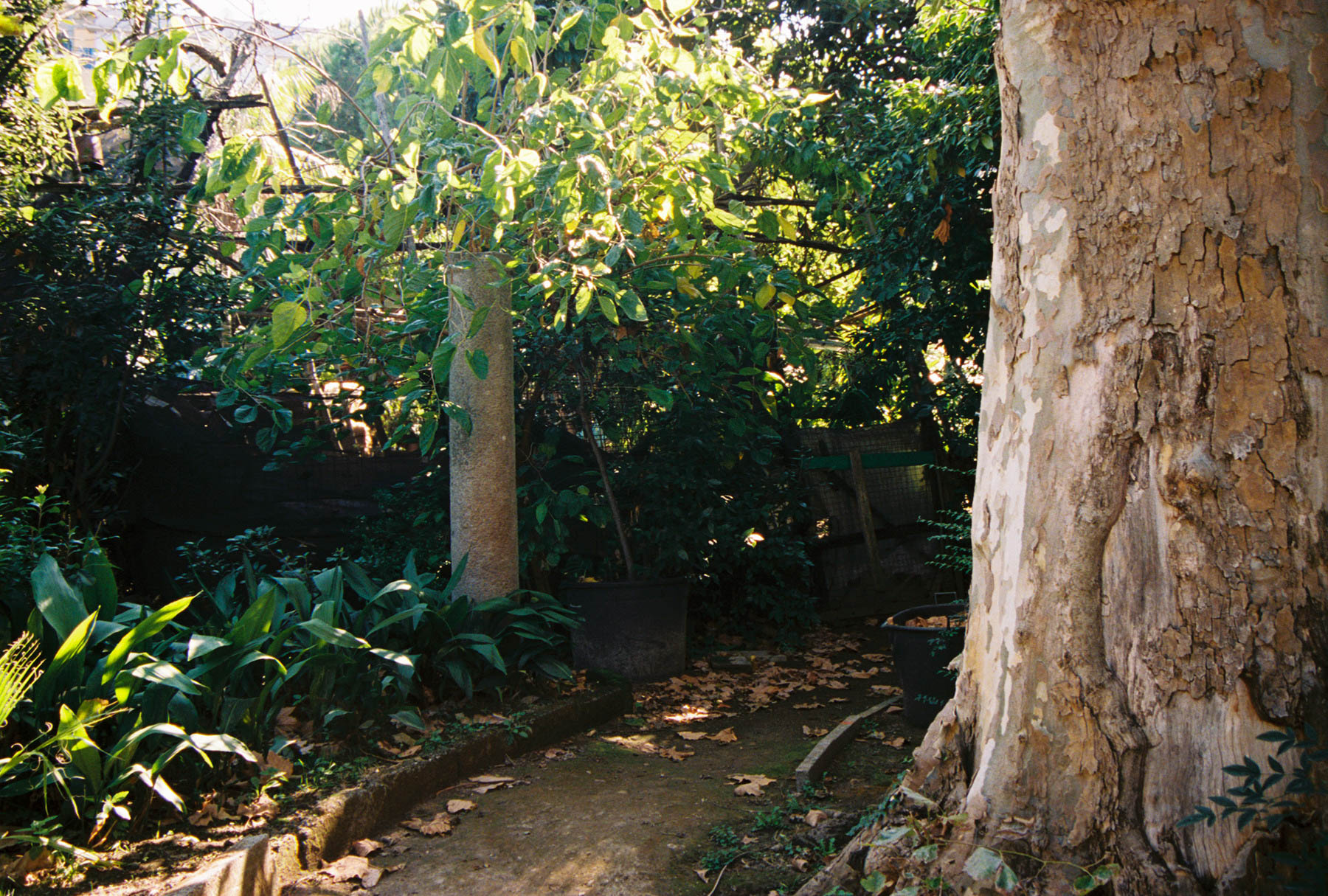 6911530-R7-052-24A.jpg