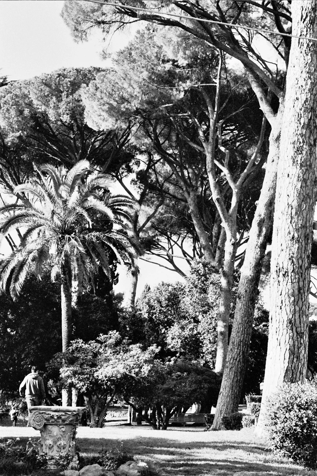 2879527492_13a012f662_o.jpg