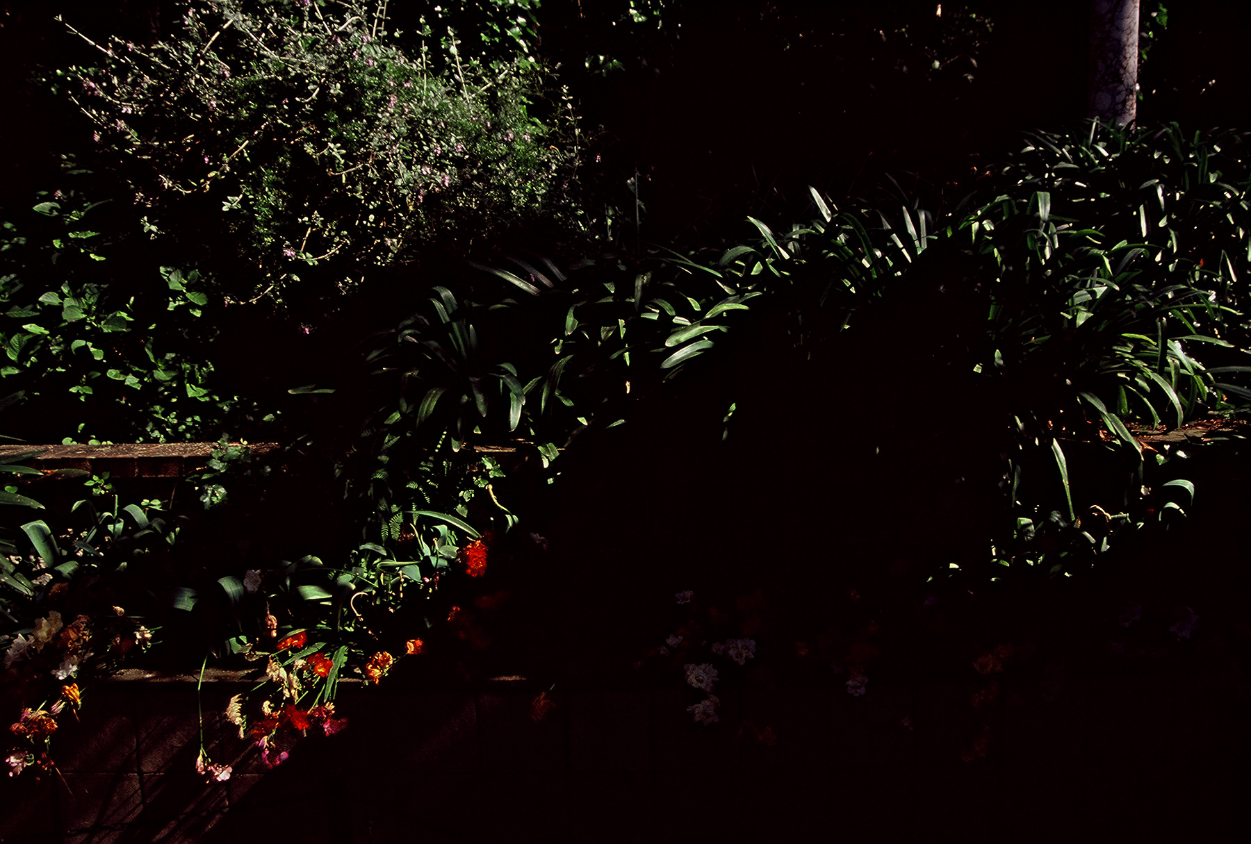 FH000059.jpg
