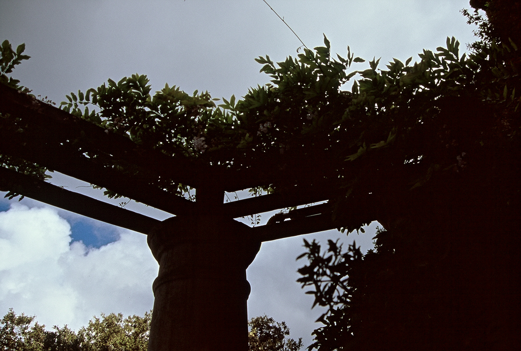 FH000063.jpg