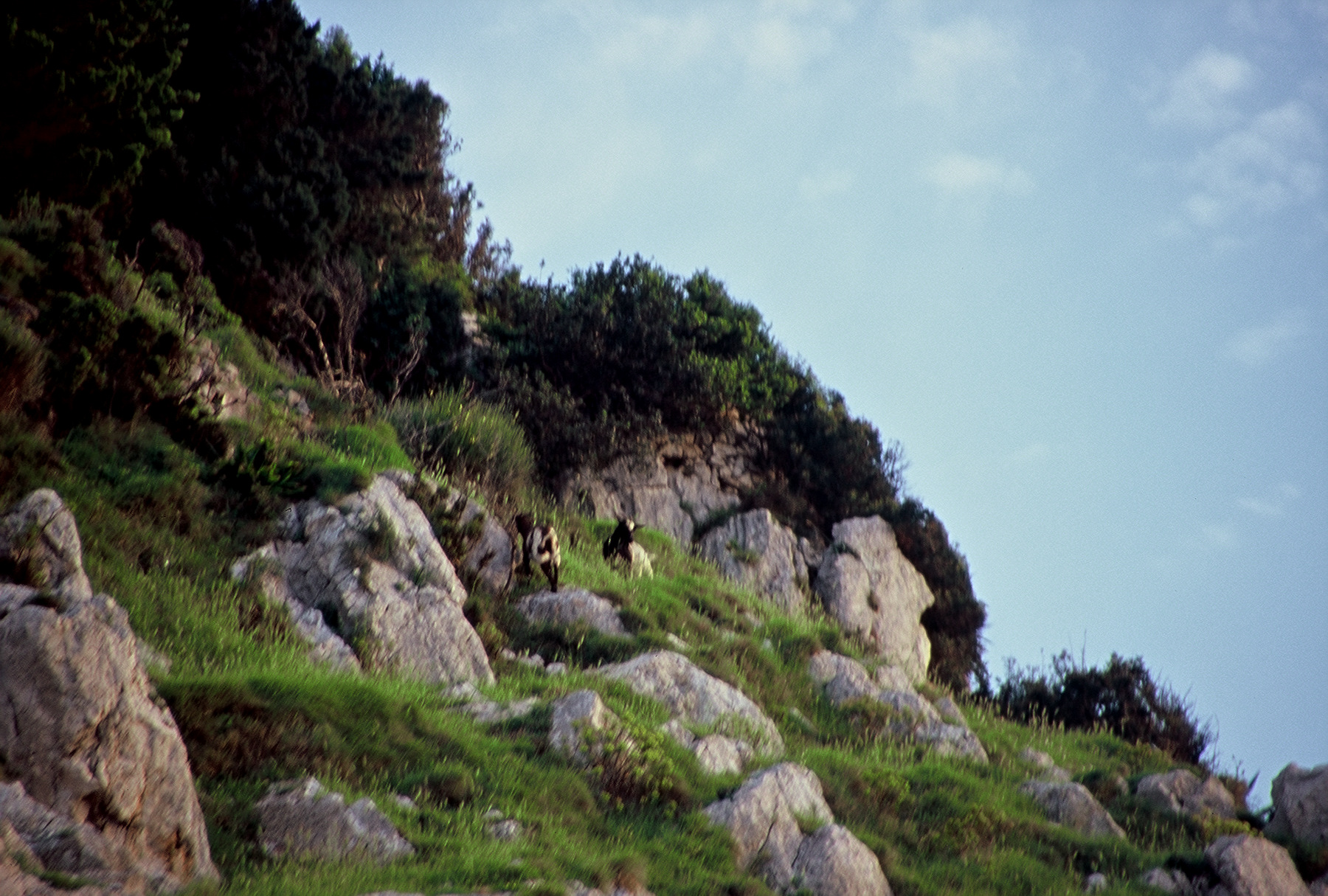 FH000065.jpg