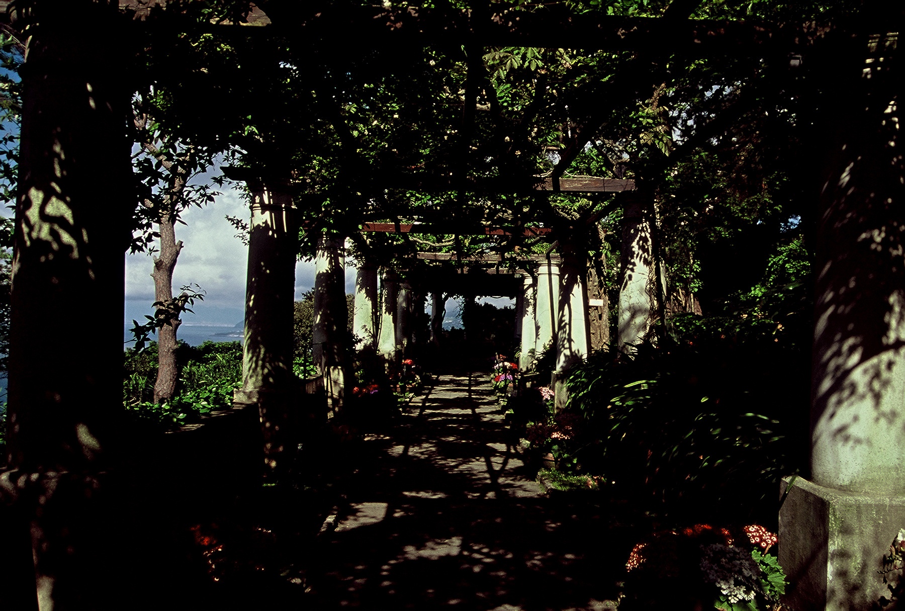 FH000077.jpg