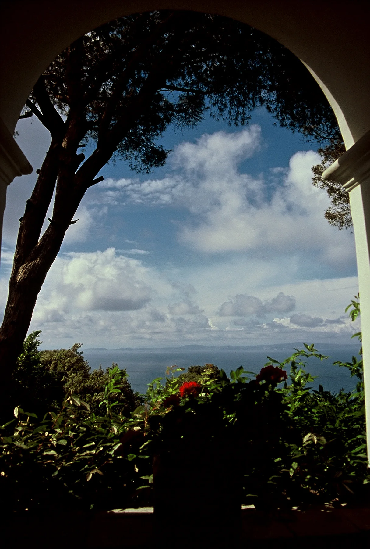 FH000080.jpg