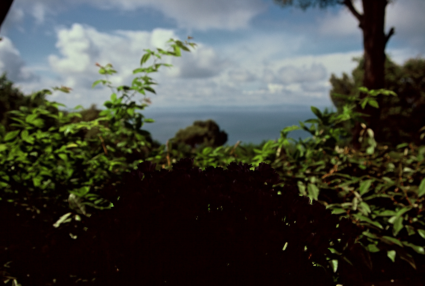 FH000081.jpg