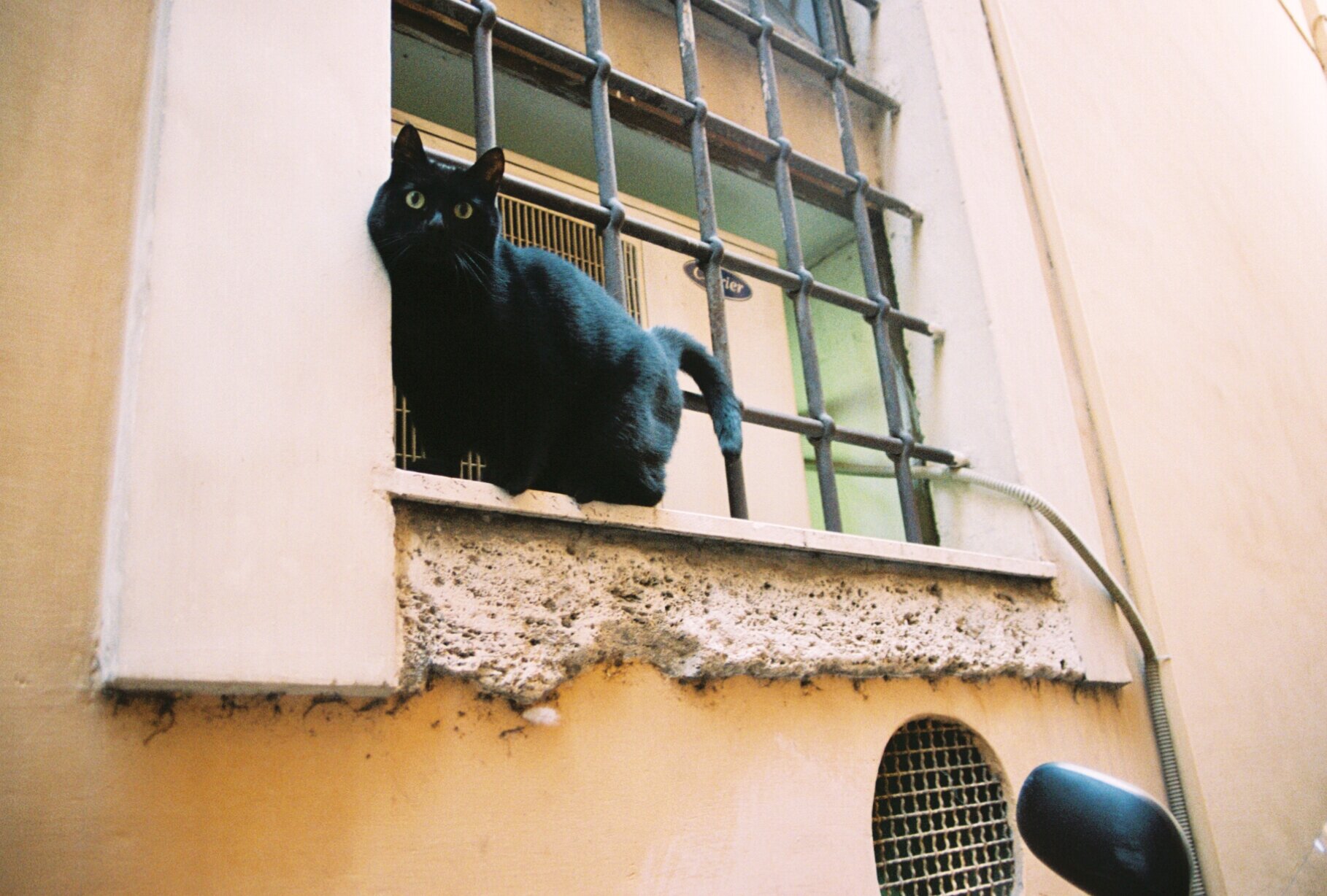 16017044634_ddb6a03ba5_o.jpeg