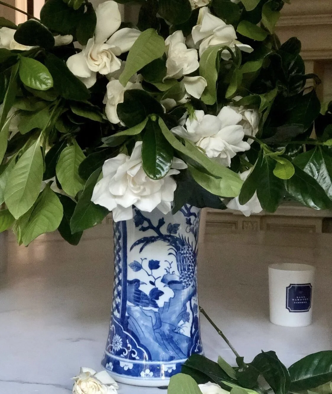 1EFE389F-9F32-4F85-BBA2-4E637D043B3A