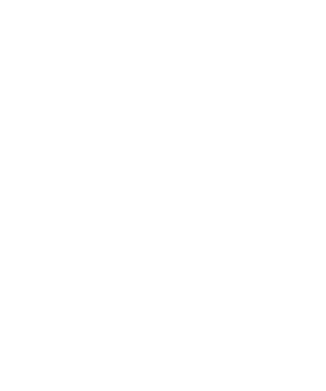 KGB Customs