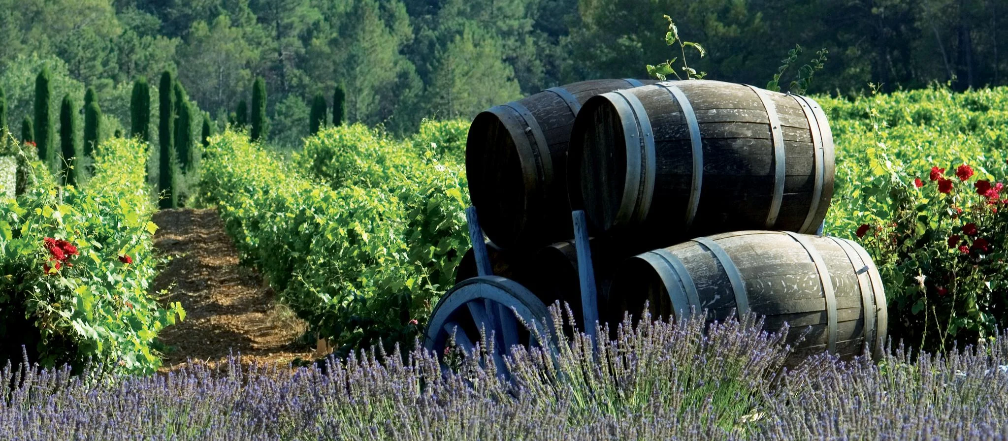 _image_vignobles_de_benre_jpg_17241_retina.jpg