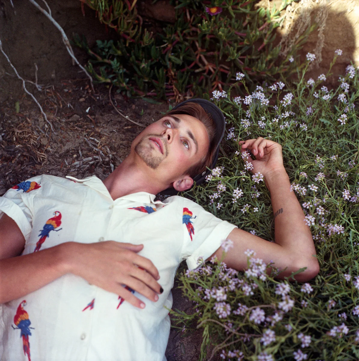 Carter_Daydreamer.jpg