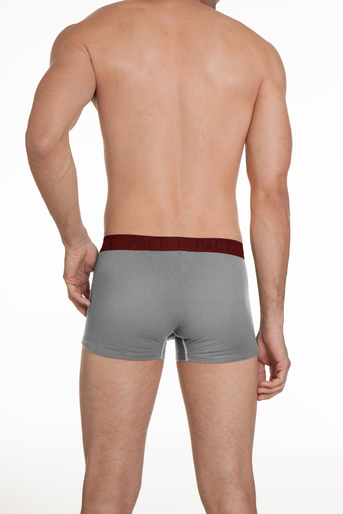 PACT_Trunk_012 2175_HEATHER_BACK.jpg