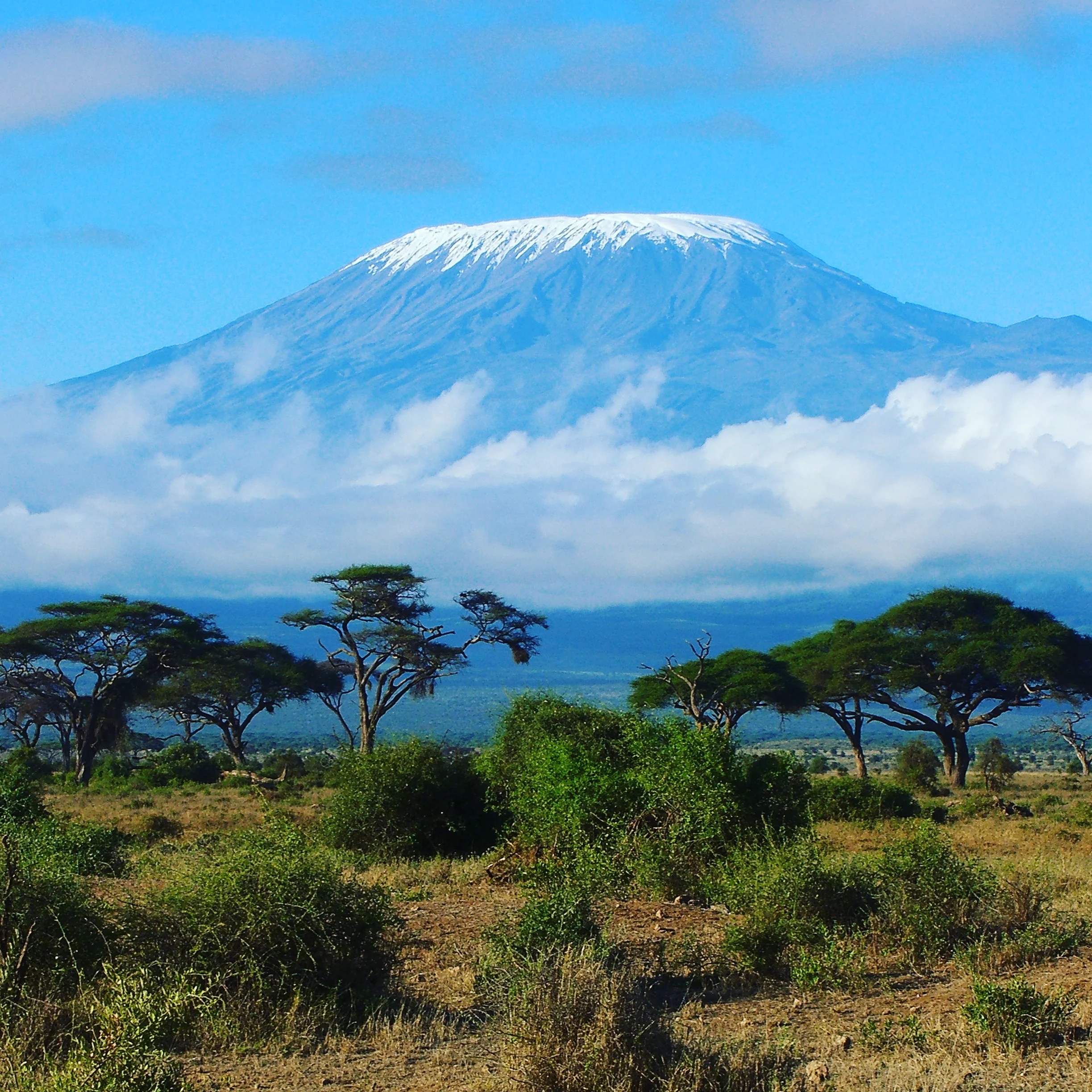 D-7 until we climb Kilimanjaro