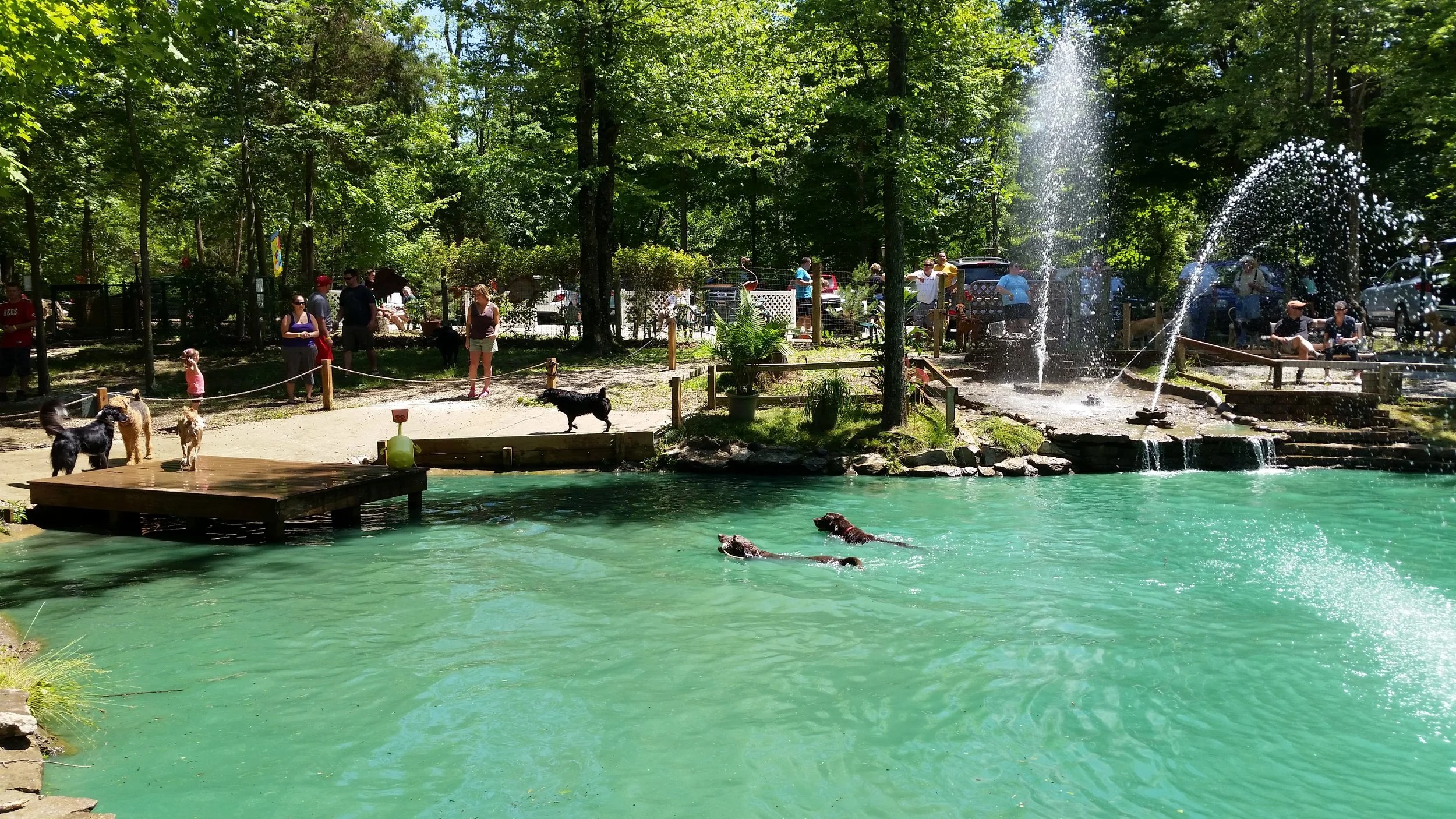 dog park near me with water