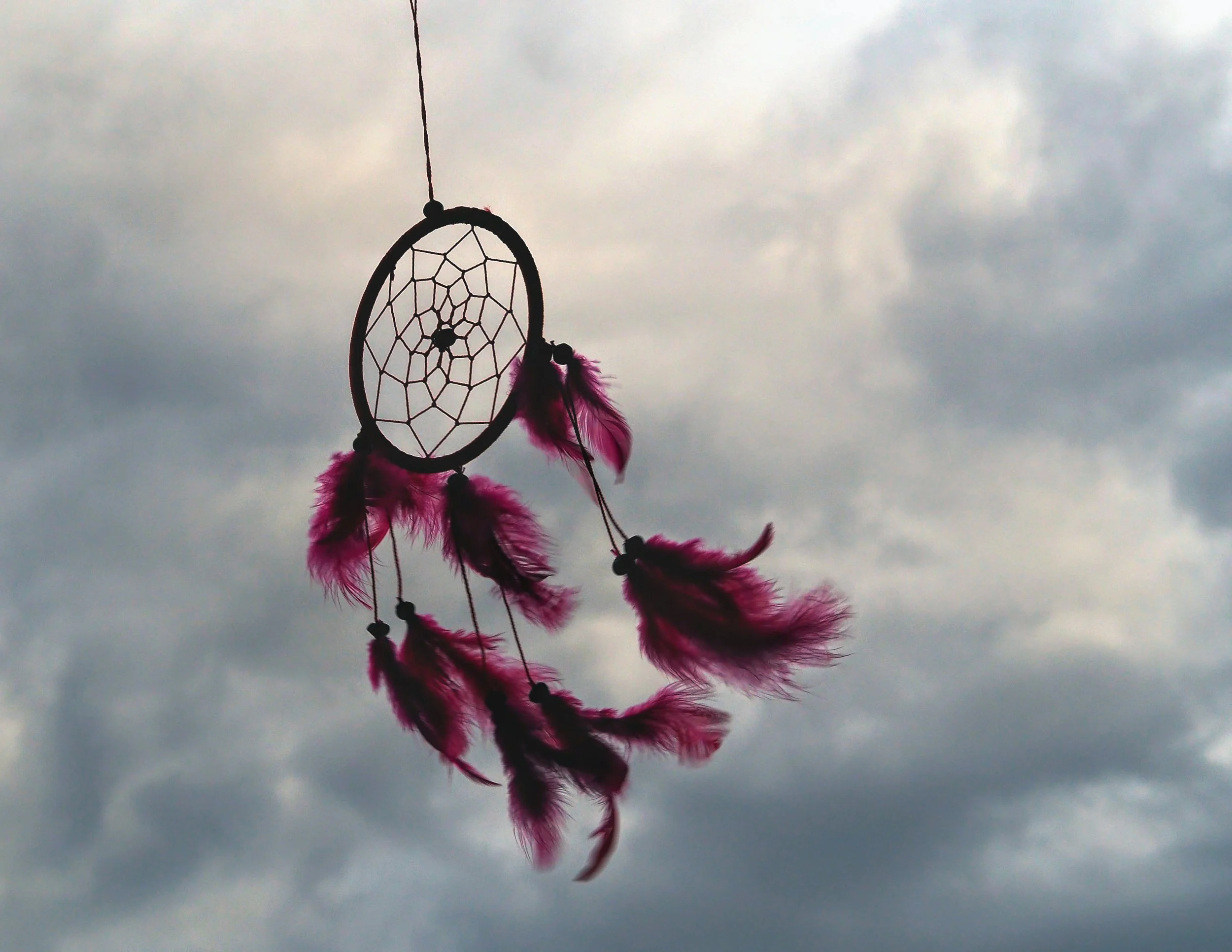 Dreamcatcher.jpg